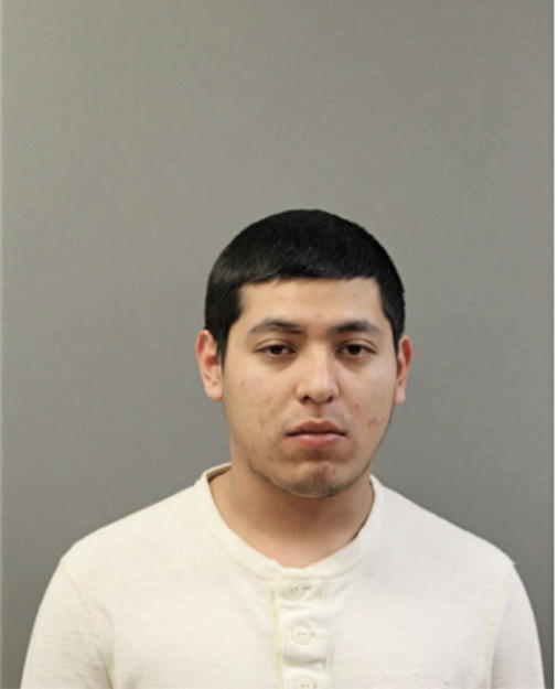 MIGUEL A DIAZ, Cook County, Illinois