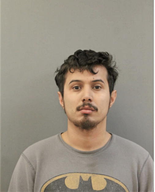 OMAR A DIAZ, Cook County, Illinois
