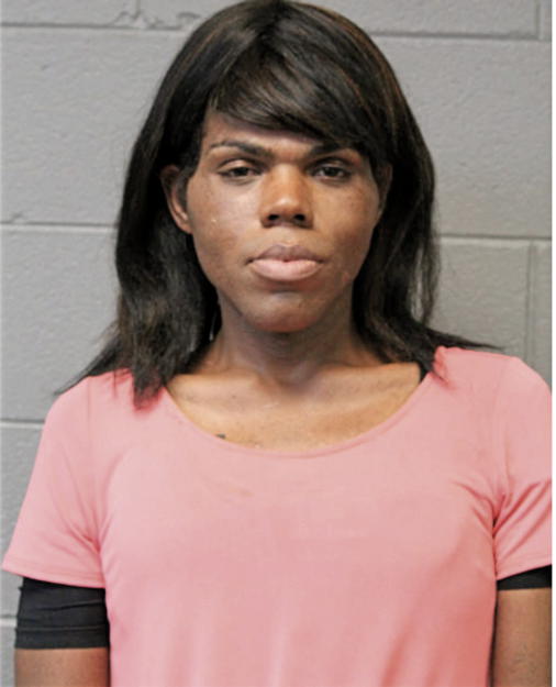TERRELL A EVANS, Cook County, Illinois