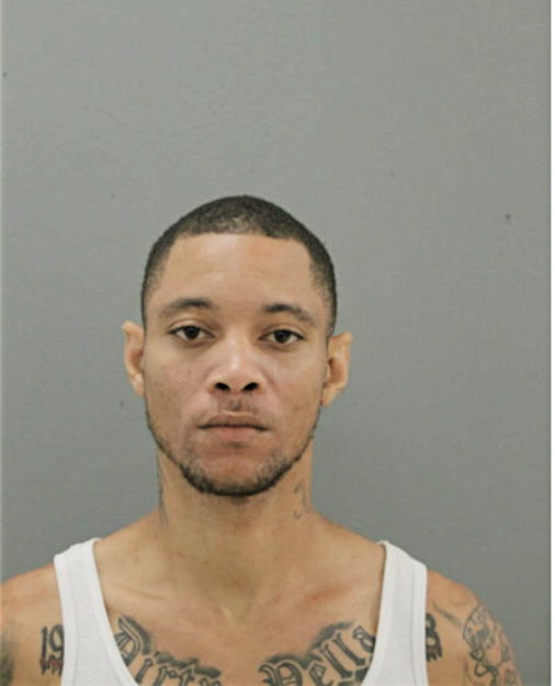 WILLIAM H FLOOD, Cook County, Illinois