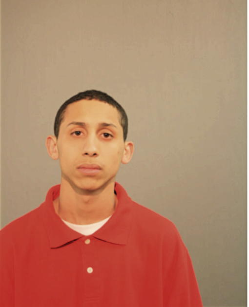 DAVID A GOMEZ, Cook County, Illinois