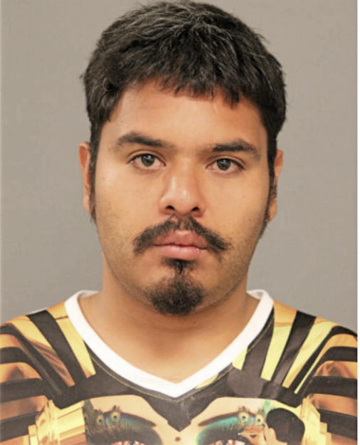 JULIO S HERNANDEZ, Cook County, Illinois