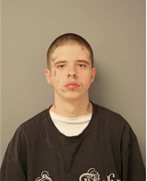 BRANDON D HOYNES, Cook County, Illinois