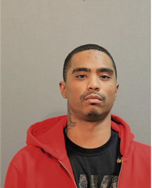 RYAN G JACKSON, Cook County, Illinois