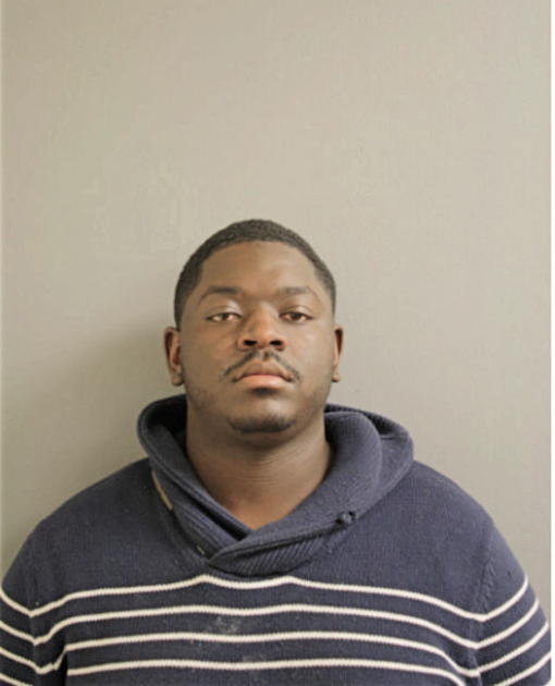 DARRELL M JOHNSON, Cook County, Illinois