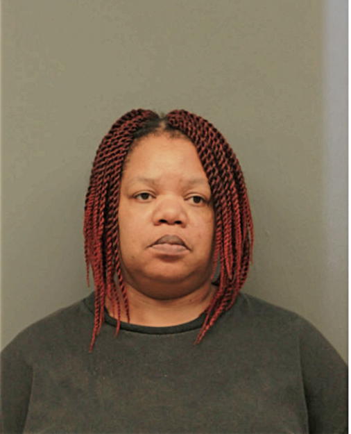 KIM L JOHNSON-SY, Cook County, Illinois