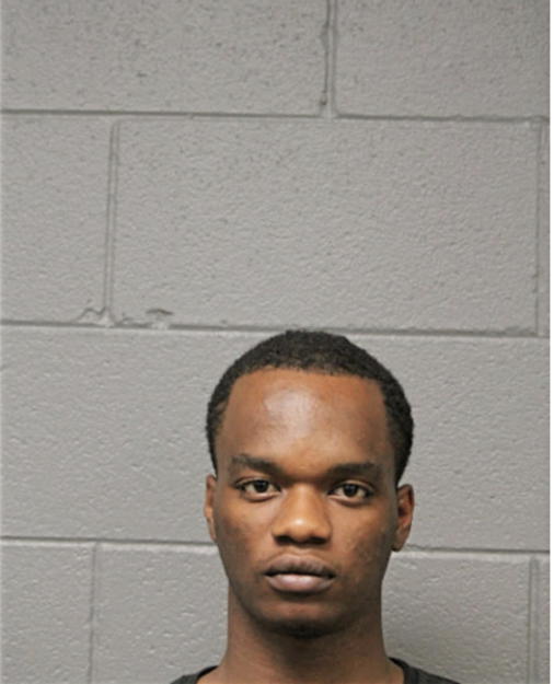 MICHAEL K LEWIS, Cook County, Illinois