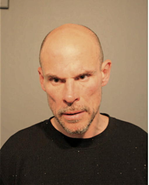 BRIAN W LAVERGNE, Cook County, Illinois