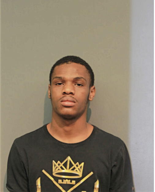 MICHAEL K LEMON, Cook County, Illinois
