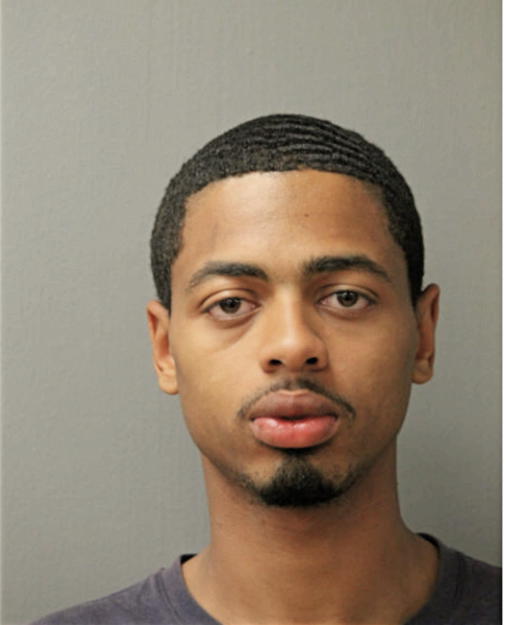 MICHAEL A LEWIS, Cook County, Illinois