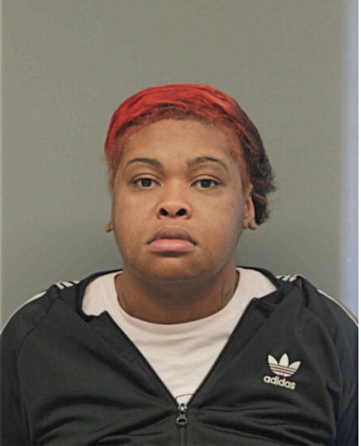 SHAMIKA R LIPSEY, Cook County, Illinois