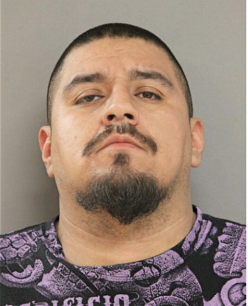 JUAN P MARTINEZ, Cook County, Illinois