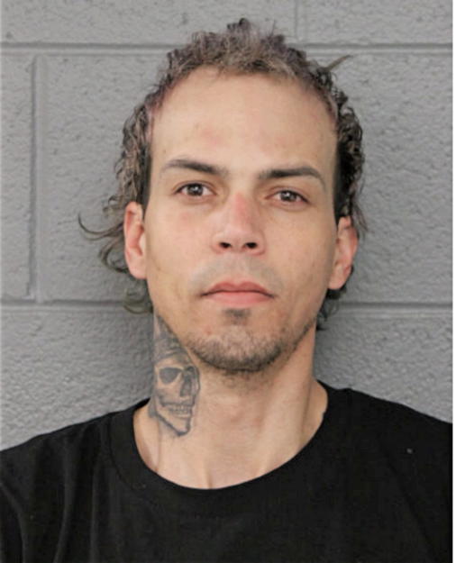 JOELVY MENDOZA, Cook County, Illinois
