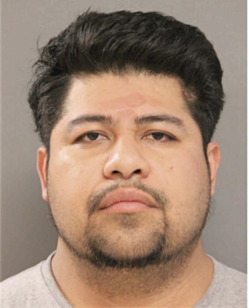 JOSE L OJEDA-OCAMPO, Cook County, Illinois