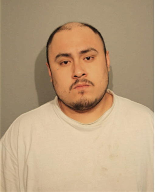 HUGO S PEREZ JR., Cook County, Illinois