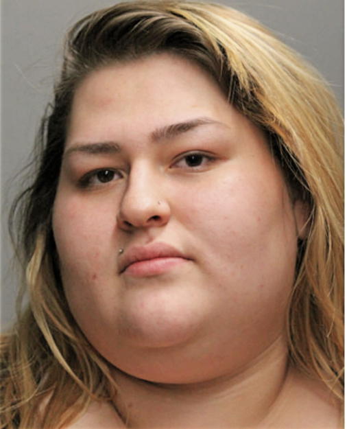 BRIDGETTE ELIZABETH PUENTES-CASTILLO, Cook County, Illinois