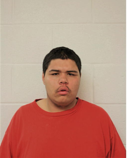 ELVIN RENTERIA, Cook County, Illinois