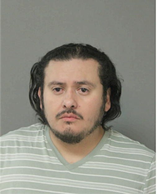 JAIME A REYES, Cook County, Illinois