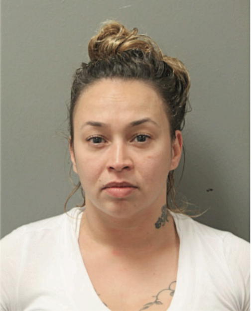 VIRGEN MARIA REYES, Cook County, Illinois