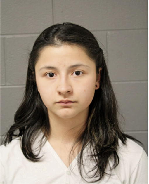 MARITZA M REYNA, Cook County, Illinois