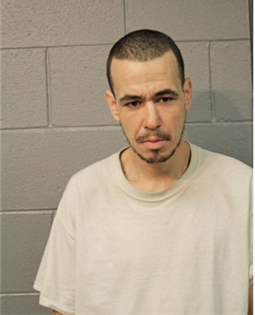 DAVID N RODRIGUEZ, Cook County, Illinois