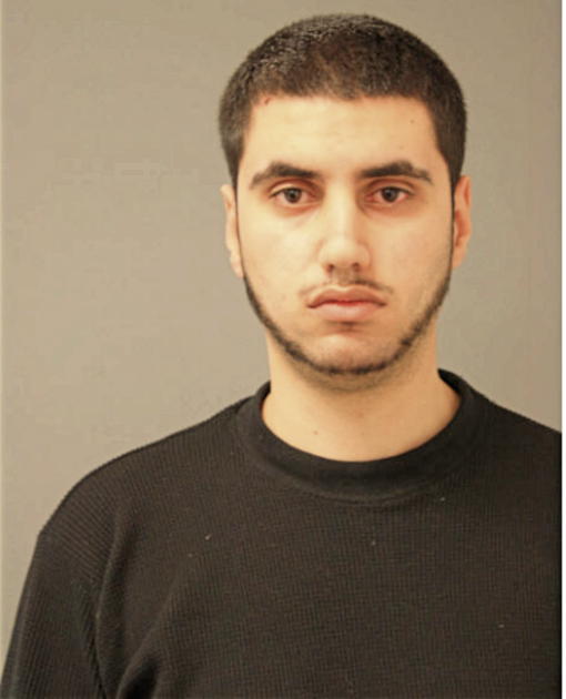 MOHMOUD SHIHADEH, Cook County, Illinois