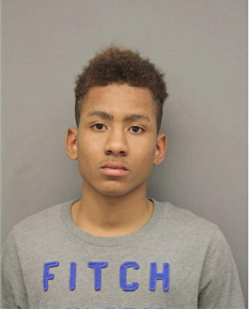 CAMREN F STYLES, Cook County, Illinois