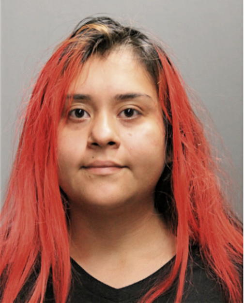 LLOVANA TORRES, Cook County, Illinois