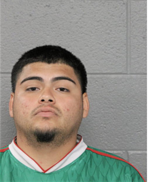 DANIEL P VEGA, Cook County, Illinois