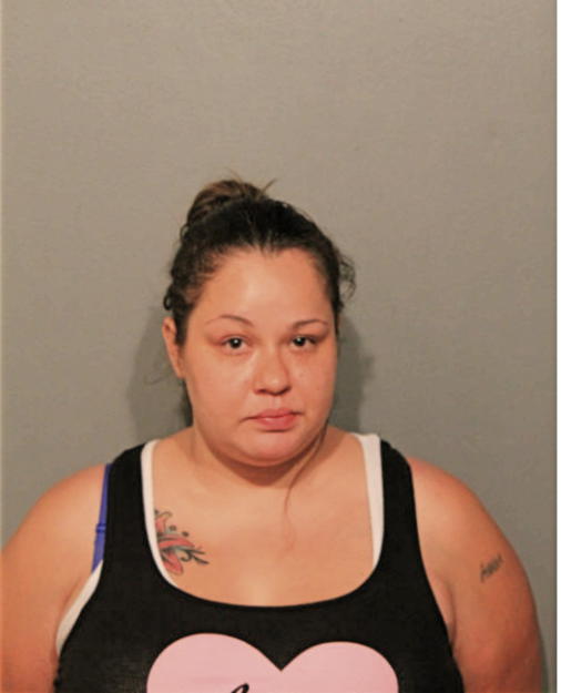 ASHLEE J VILLARREAL, Cook County, Illinois