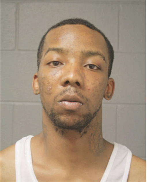 JAMES E WILLIAMS, Cook County, Illinois