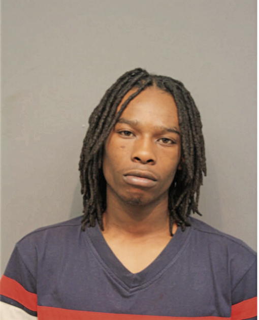 STEVEN E WILLIAMS, Cook County, Illinois