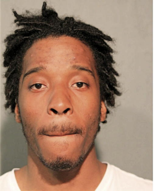 CHARLES L AMBROSE, Cook County, Illinois