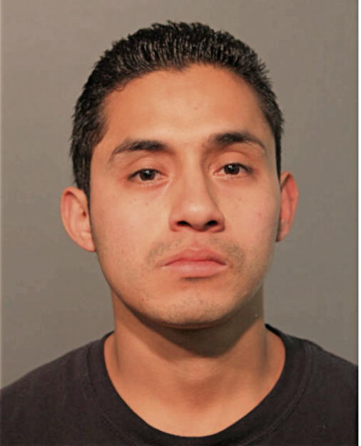 ALAN GALVAN ANAYA, Cook County, Illinois