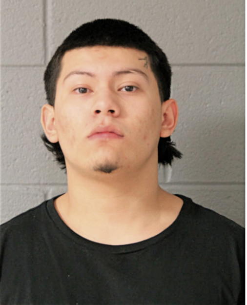 ENRIQUE ANGELES, Cook County, Illinois