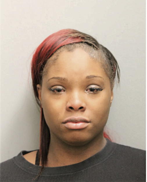 ARIANNA J BROOKS, Cook County, Illinois