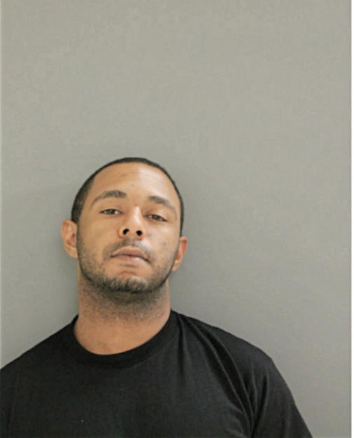 ELDRIDGE P BROWN, Cook County, Illinois