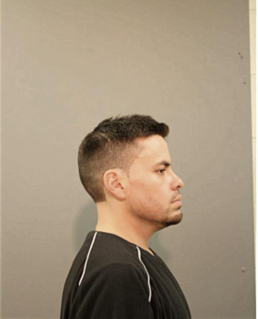 VICTOR CONTRERAS, Cook County, Illinois