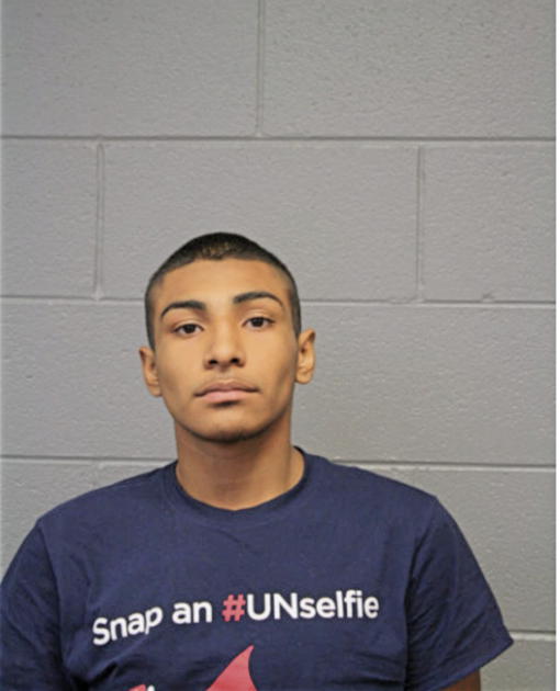 JOHN M CORONA, Cook County, Illinois