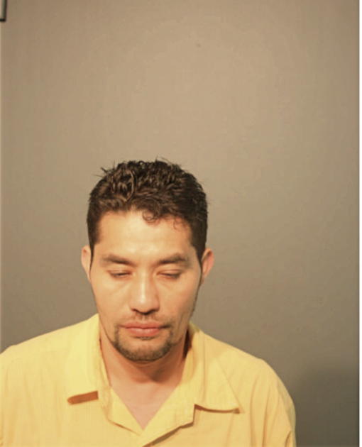 JOSE A DOMINGUEZ, Cook County, Illinois