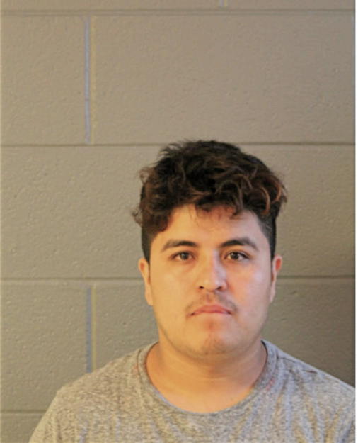 ENRIQUE R FONSECA-RIVERA, Cook County, Illinois