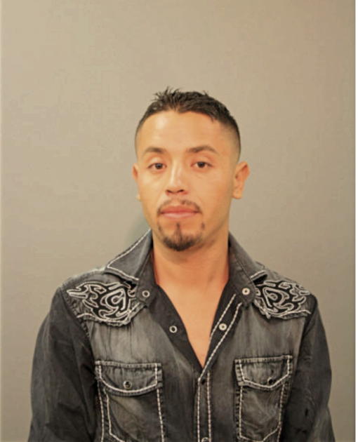 ROBERTO GONZALEZ-SANCHEZ, Cook County, Illinois