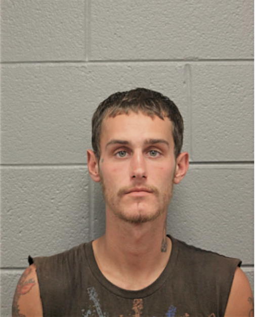 DAVON N HARRISON, Cook County, Illinois