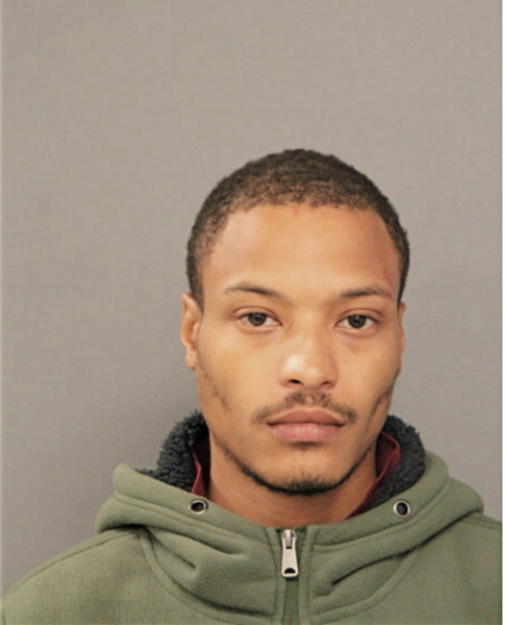 ANTON K LEBLANC, Cook County, Illinois