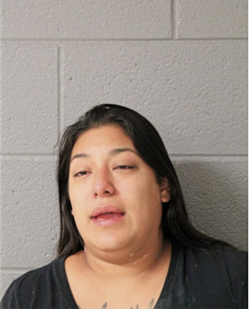 REINA J LOPEZ, Cook County, Illinois