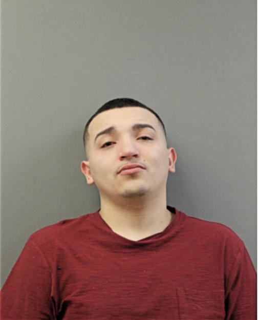 HENRY F MONTOYA, Cook County, Illinois