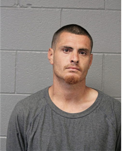 BRANDON S MUNOZ, Cook County, Illinois