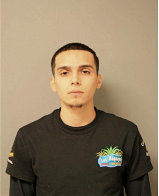 LUIS E PATINO, Cook County, Illinois
