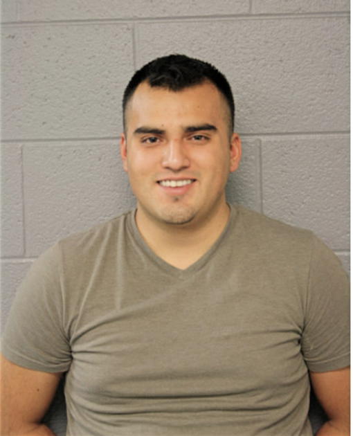 ALEJANDRO PEREDA, Cook County, Illinois