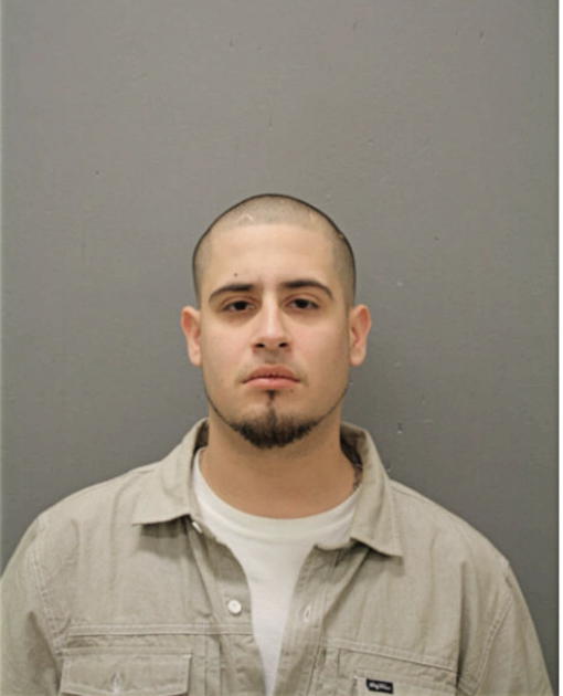 DAVID RIVERA, Cook County, Illinois